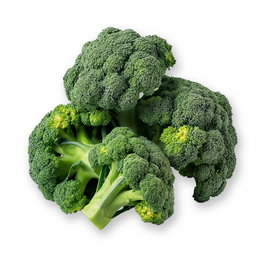 Broccoli Fresh