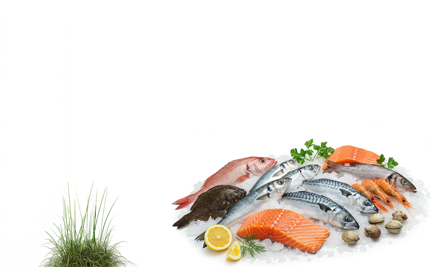 Seafood